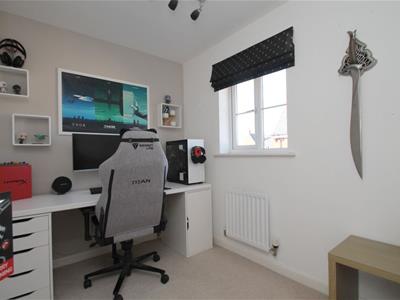 Picture 8